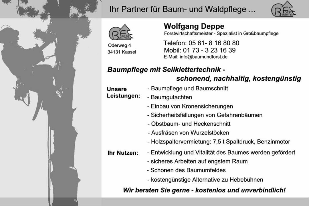 Die Fachfirma für alle Arbeiten, die mit Baum und Wald zu tun haben